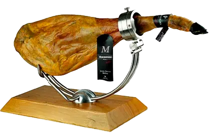 Iberian ham acorn