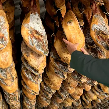 Iberian ham maduration